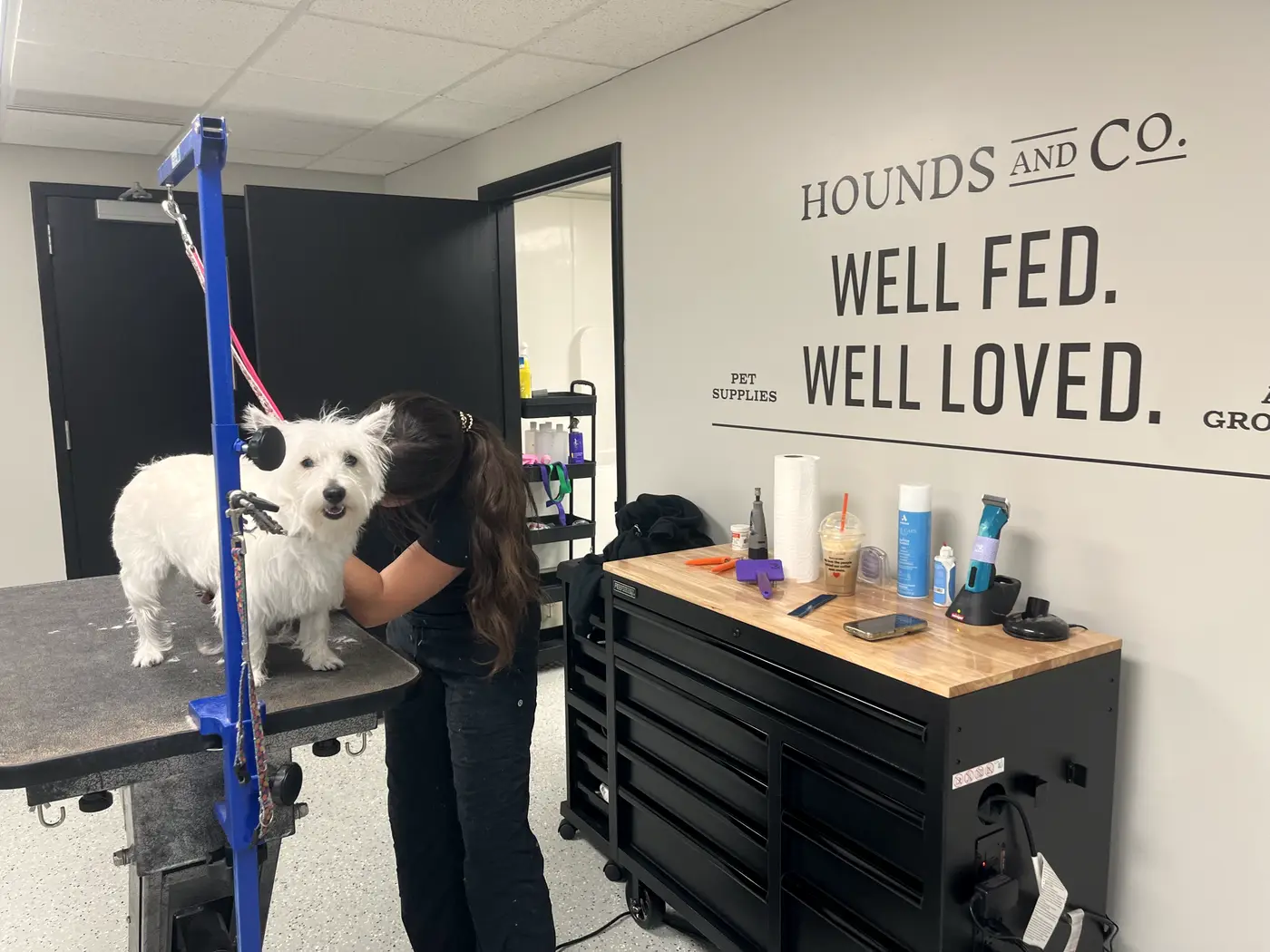 A groomer in black hugging a white Westie on the grooming table, under the Hounds and Co. Well Fed. Well Loved. wall sign