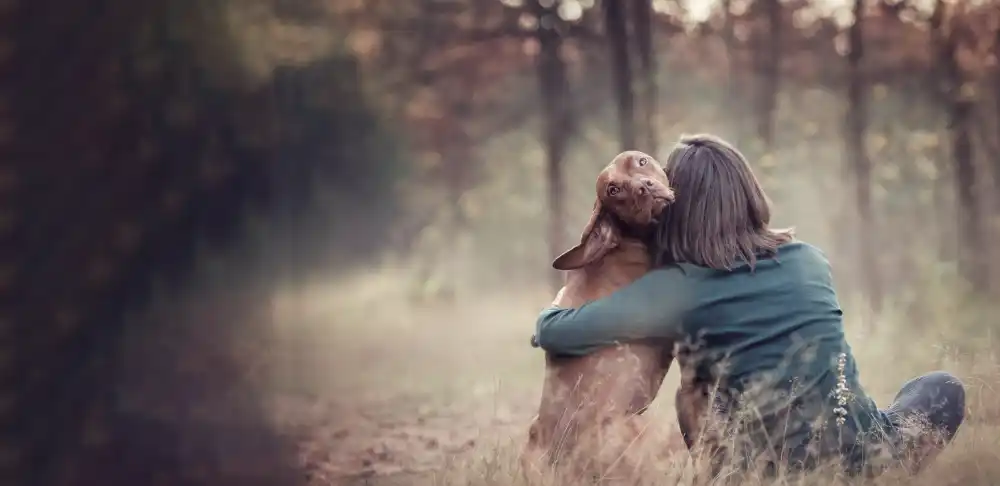 A woman hugging her vizsla in an autumn forest